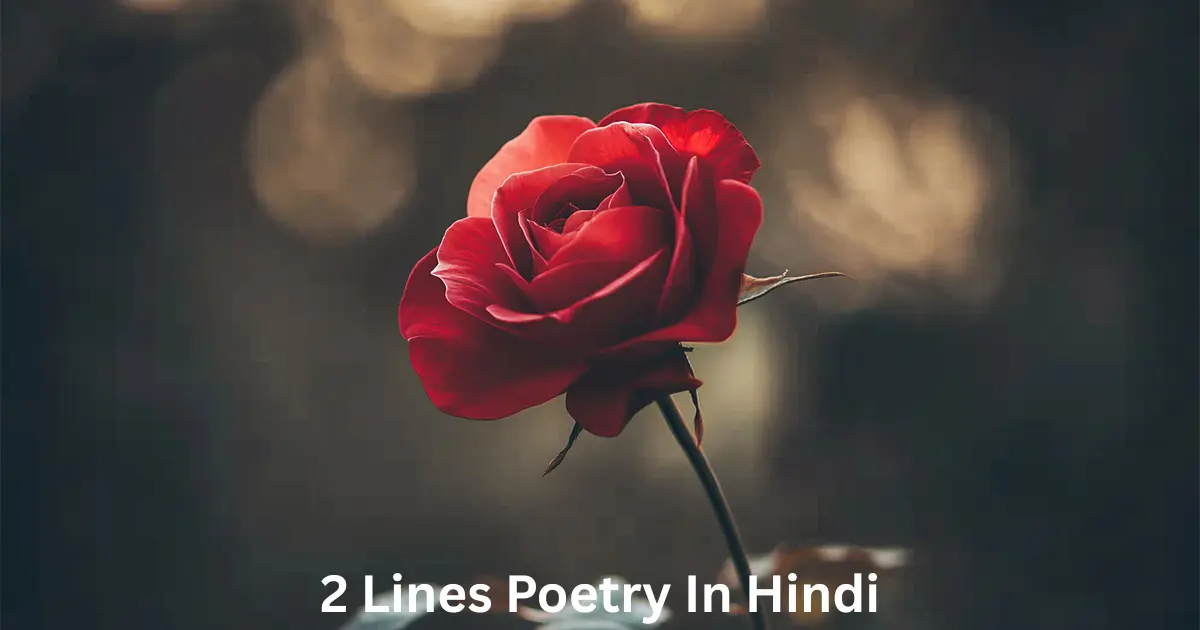 Top Best 2 Lines Poetry in Hindi 2025 – Shayari