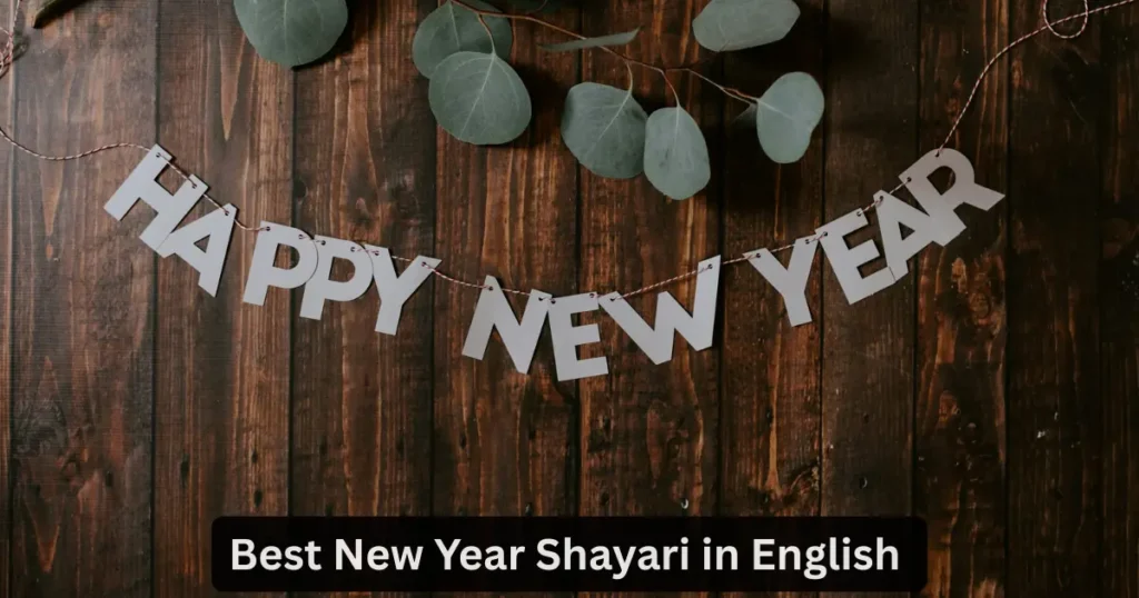 new year shayari in english