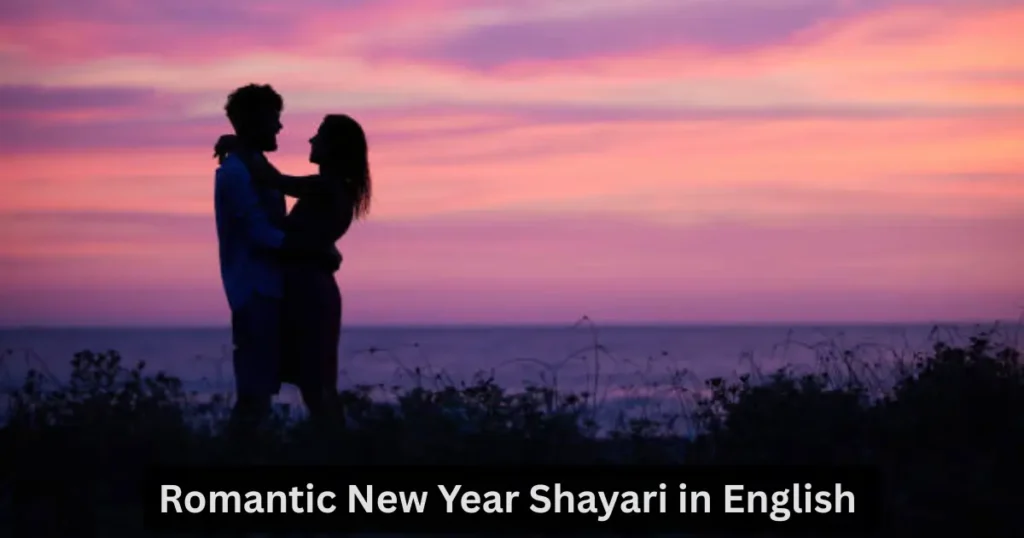new year shayari in english