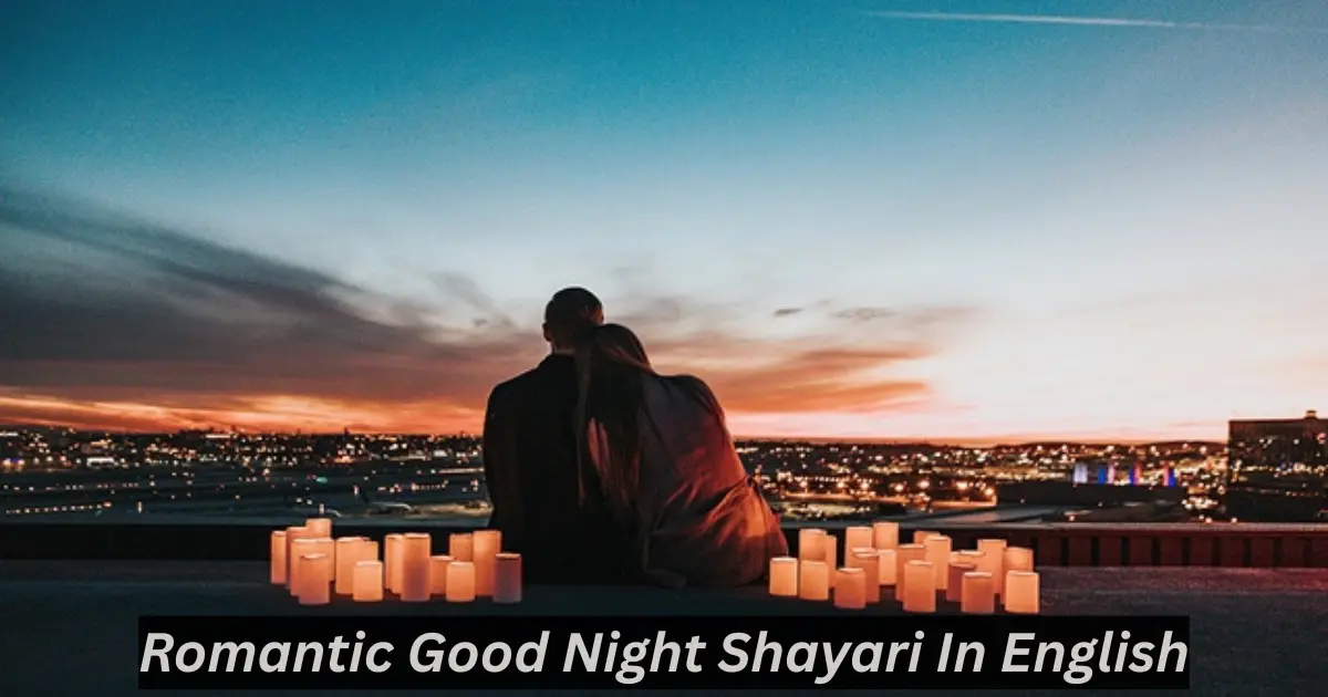 romantic good night shayari in english
